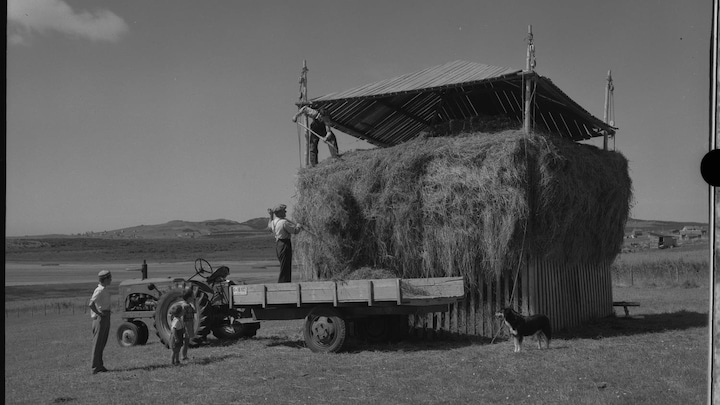 Baraque à foin avec camion chez Azade Arsenault à Portage-du-Cap.