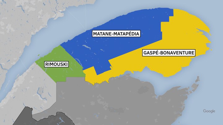Une carte présentant la proposition de Commission de la représentation électorale en Gaspésie. 