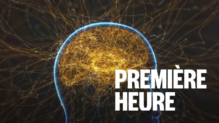 Visualisation du concept de connexions neuronales du cerveau humain. 