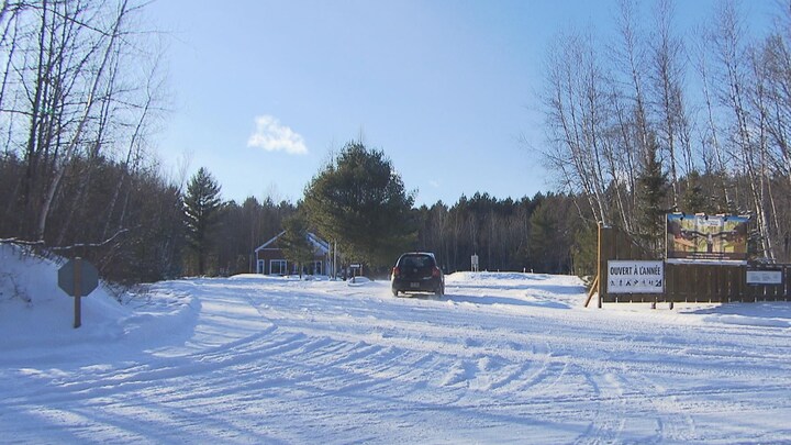Une cabane au loin, avec une voiture qui entre dans l'espace boisé.