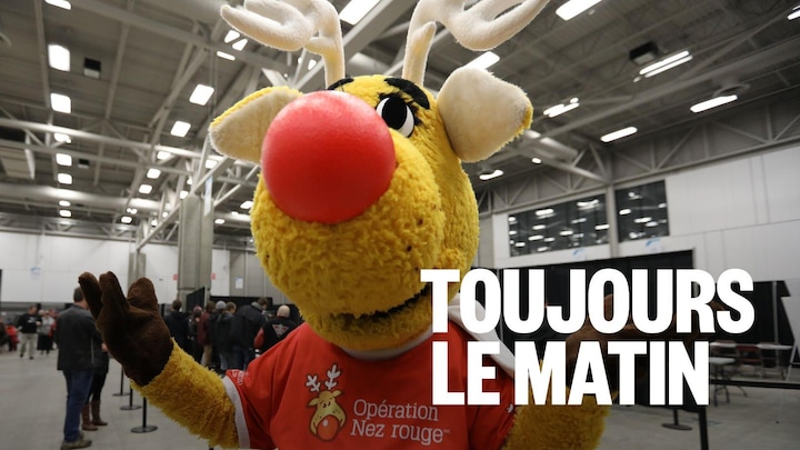 Une mascotte de renne avec un gros nez rouge.