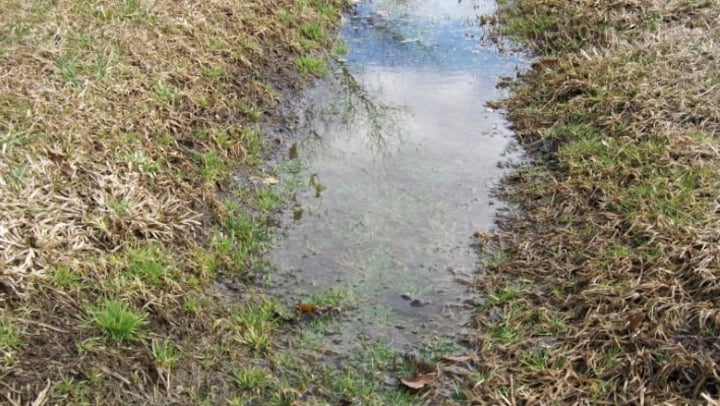 Photo d'un cours d'eau à Regina.
