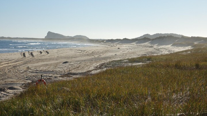 Une plage déserte de Grosse-Île, avec des traces de pneus