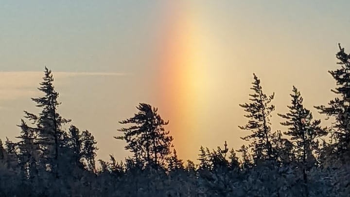 Un arc-en-ciel visible depuis la cime des arbres dans un paysage en hiver.