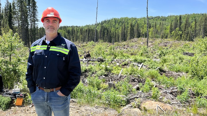 Un homme avec un casque pose devant une forêt à reboiser.