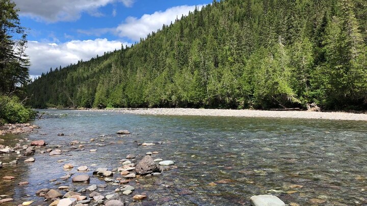 Une fondation pour préserver l'intégrité de la rivière Bonaventure ...