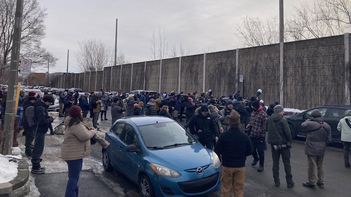 Un rouge-gorge familier traverse l’océan, une première au pays | OHdio ...