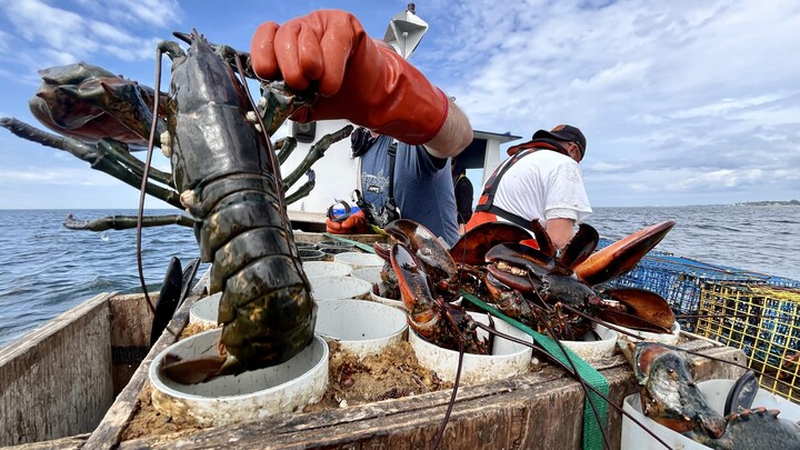 Un pêcheur nous montre un homard.