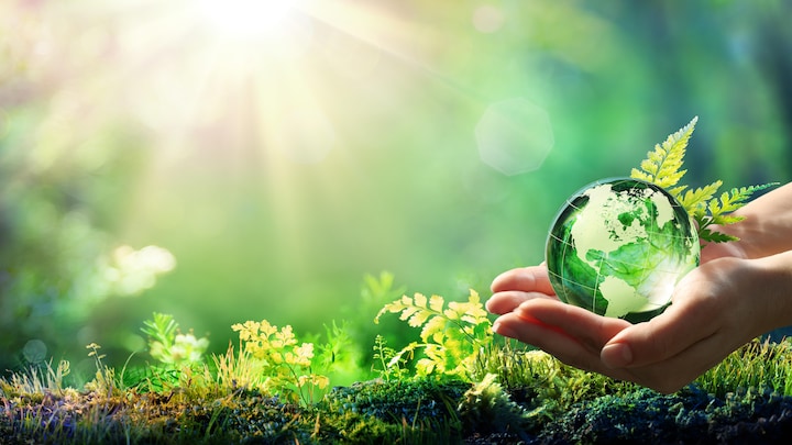 Des mains tiennent un globe terrestre sur du gazon.