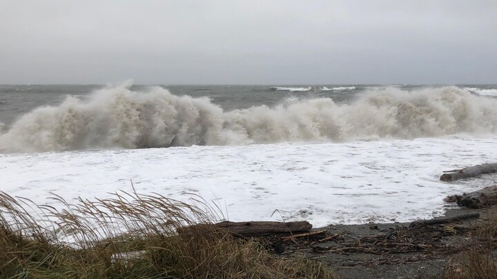 De grosses vagues déferlent sur une petite plage.