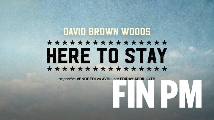 La couverture de l'album « Here To Stay » de David Brown.
