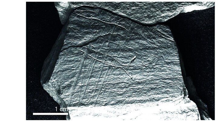 Des filets de pêche vieux de 15 800 ans | OHdio | Radio-Canada