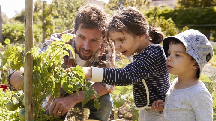 Autosuffisance alimentaire à l’échelle familiale : possible, mais ardue ...