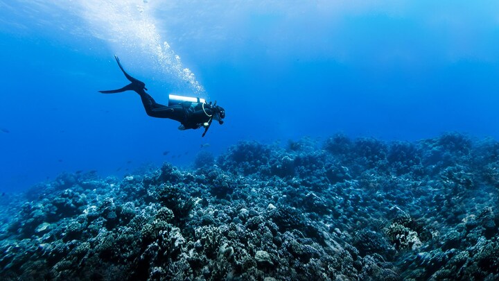 Les plongeurs et plongeuses, ces « astronautes sous-marins » | OHdio ...