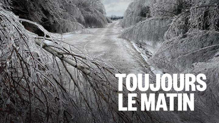Une route complètement glacée et des branches d'arbres qui plient sous le poids de la glace.
