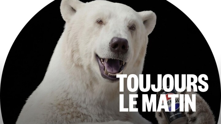 Un ours polaire tient une canette de pepsi. 