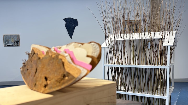 Diverses installations dans une exposition.