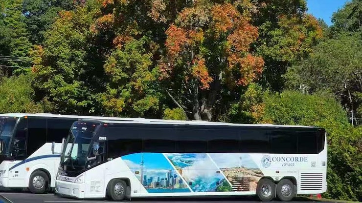 大巴