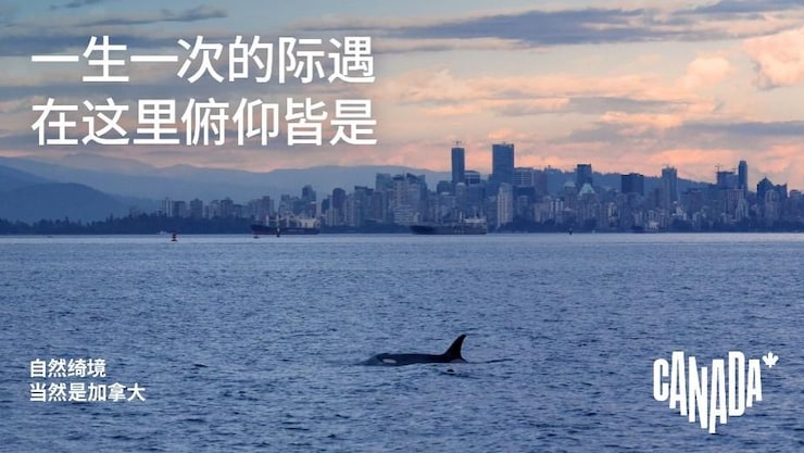 风景