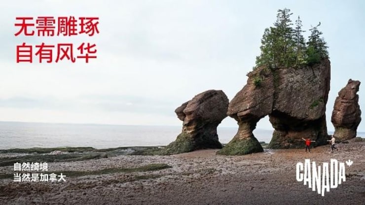 风景