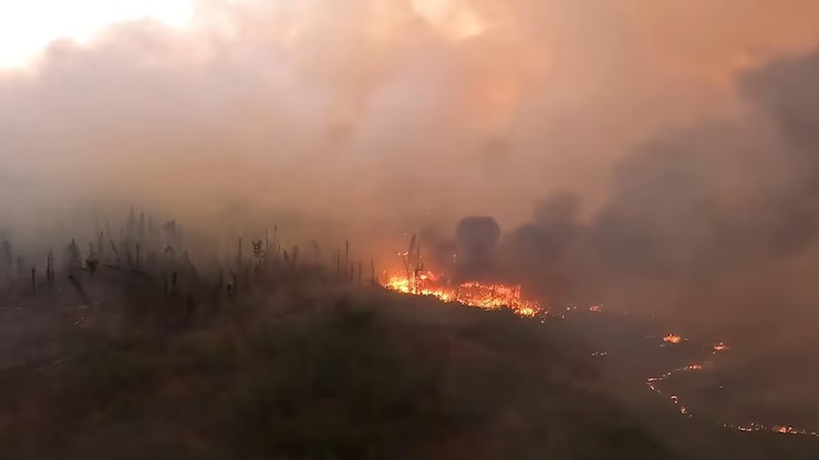 More than 20,000 people placed on evacuation alert due to wildfire near ...