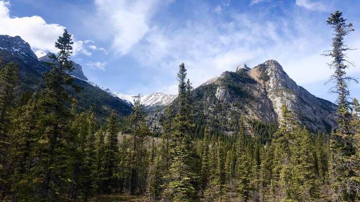The G7 leaders' summit is coming to Kananaskis Country, Alta., this month. The region is known for its forests, lakes and mountains.