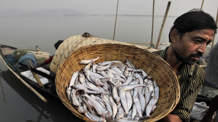 布拉马普特拉河（Brahmaputra）上有人在捕鱼。