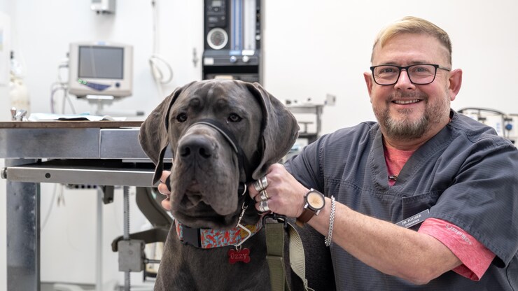La santé mentale des vétérinaires canadiens continue de se détériorer ...