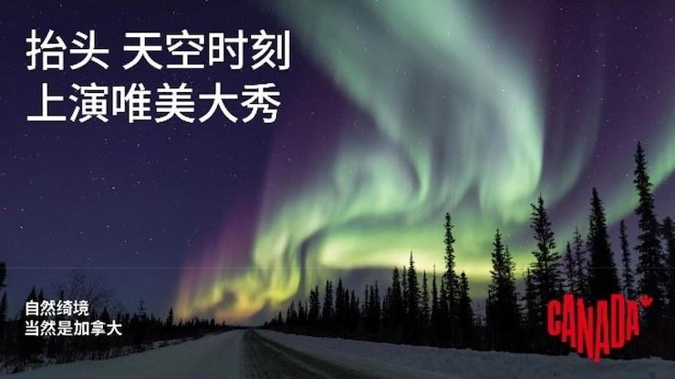 风景