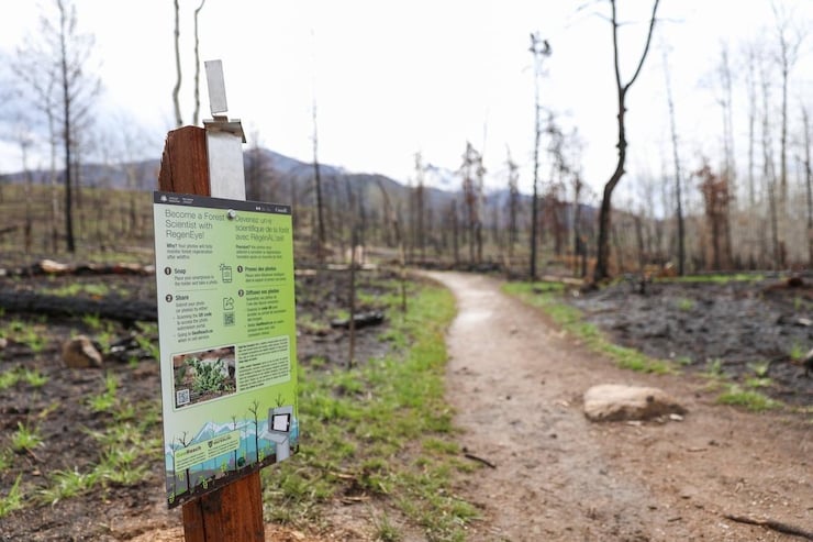 A sign at the entrance of a trail in a national park.