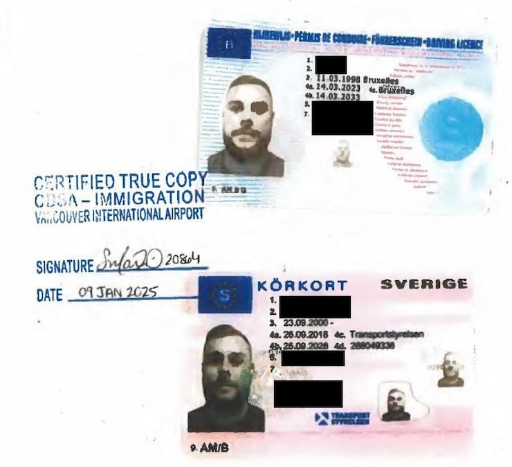 Roman Tryfonenko was carrying fake driver's licences in his luggage when he was detained at Vancouver's airport. He later claimed he bought them on the dark web out of fear for his safety. 