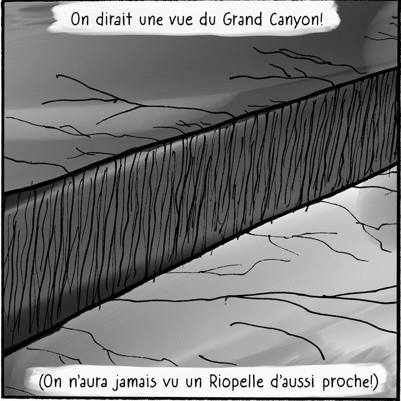 La vue très rapprochée de la peinture, on y voit les détails topographiques de la surface. L'observateur dit : « On dirait une vue du Grand Canyon! (On n'aura jamais vu un Riopelle d'aussi proche!) »