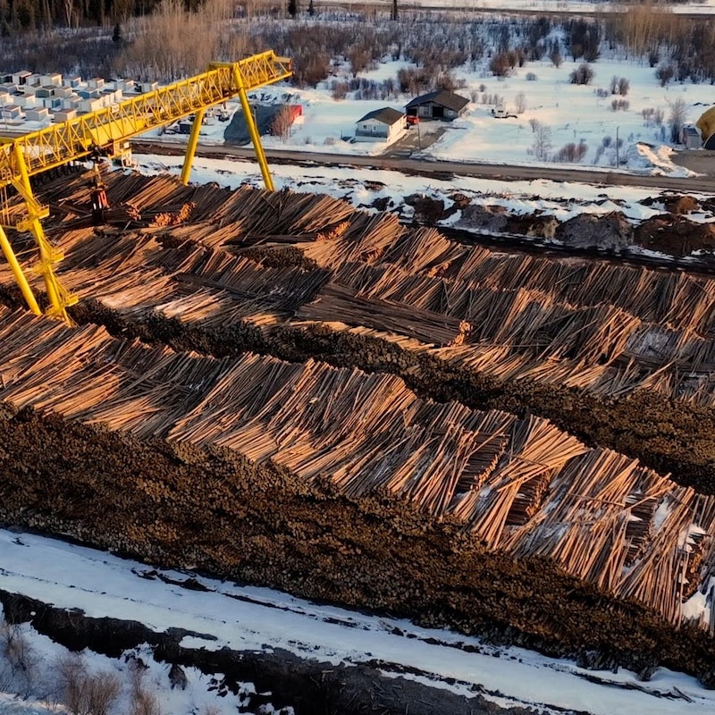 Vers la fin de la récolte hivernale, d'immenses piles de bois s'accumulent près des moulins.