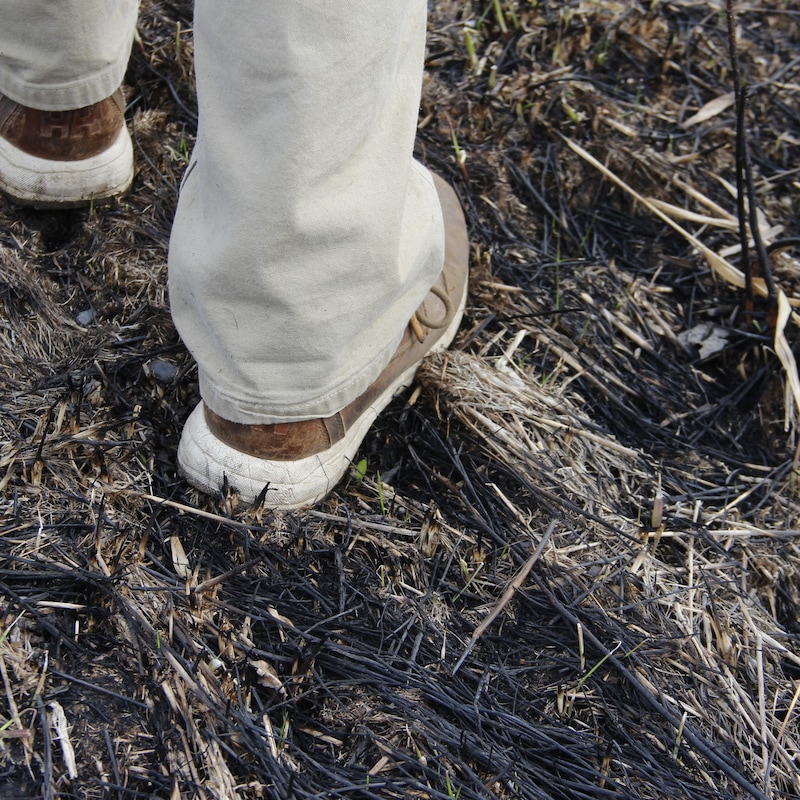 Des pieds marchent sur une terre partiellement brûlée.