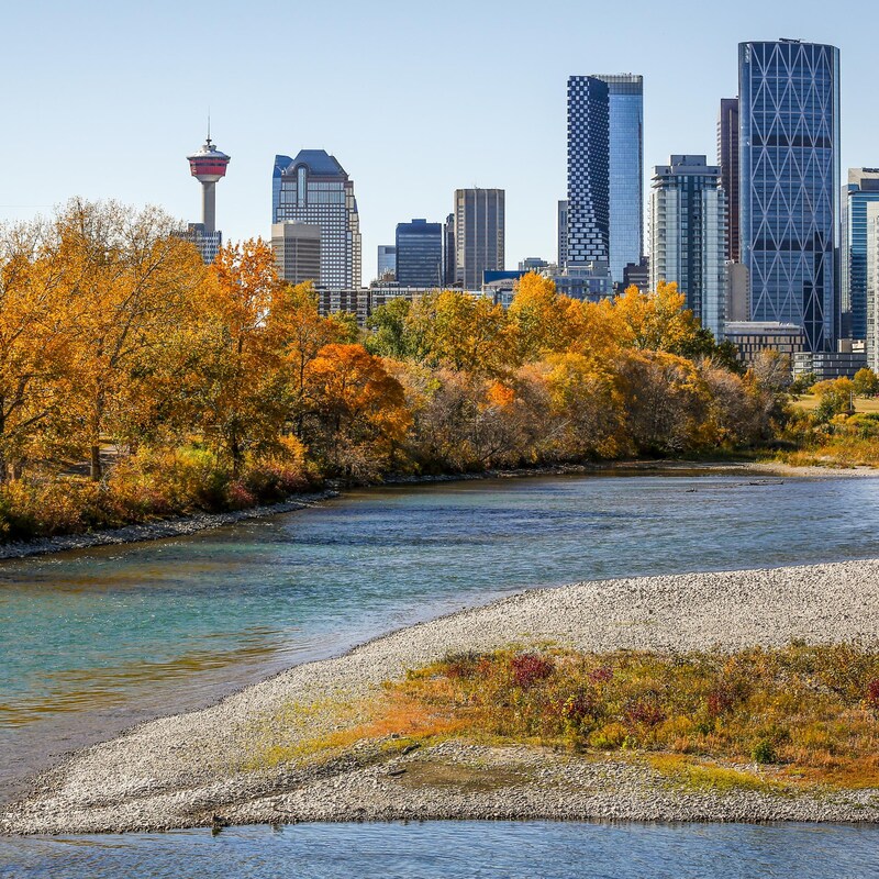 La rivière Bow, des arbres orangés avec en arrière-plan le centre-ville de Calgary.