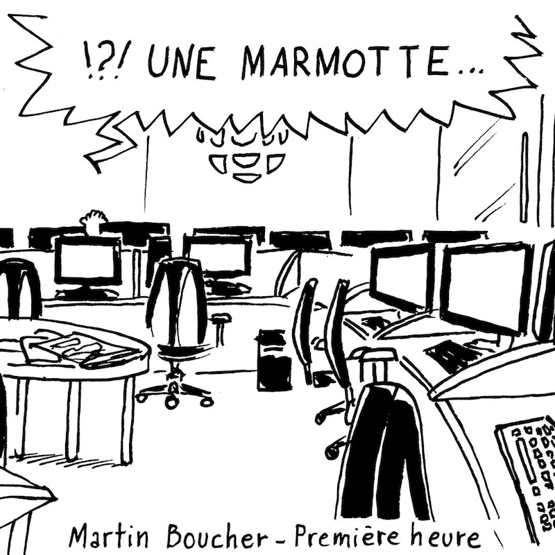 Dessin de bande dessinée en noir et blanc. Un phylactère surgit du fond d'une salle de nouvelles. La personne (Martin Boucher) s'exclame « !?! une marmotte... ».