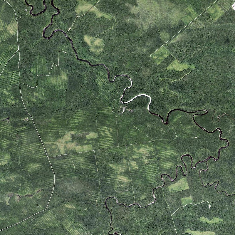 Photo aérienne de la forêt, qui est clairsemée de bandes de terres qui. ont été bûchées