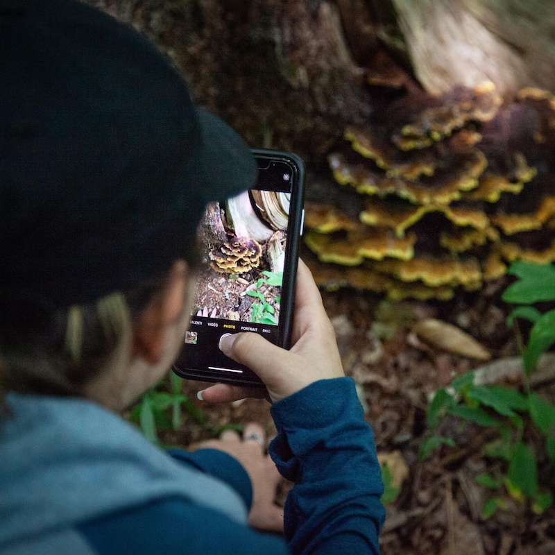 Audrey-Jade est de dos, alors qu'elle photographie un gros champignon à l'aide de son iphone.