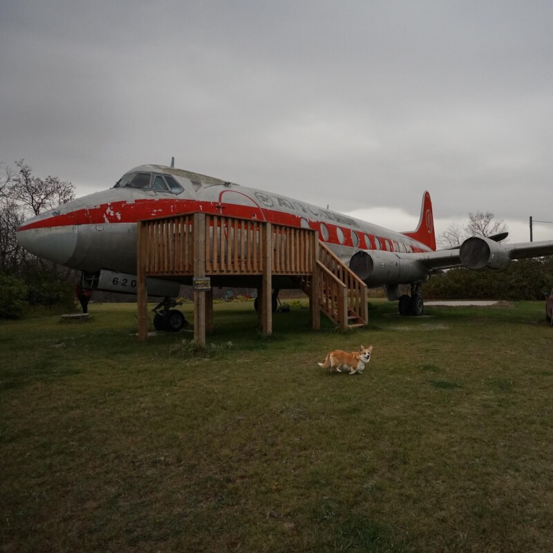 Un avion dans un stationnement