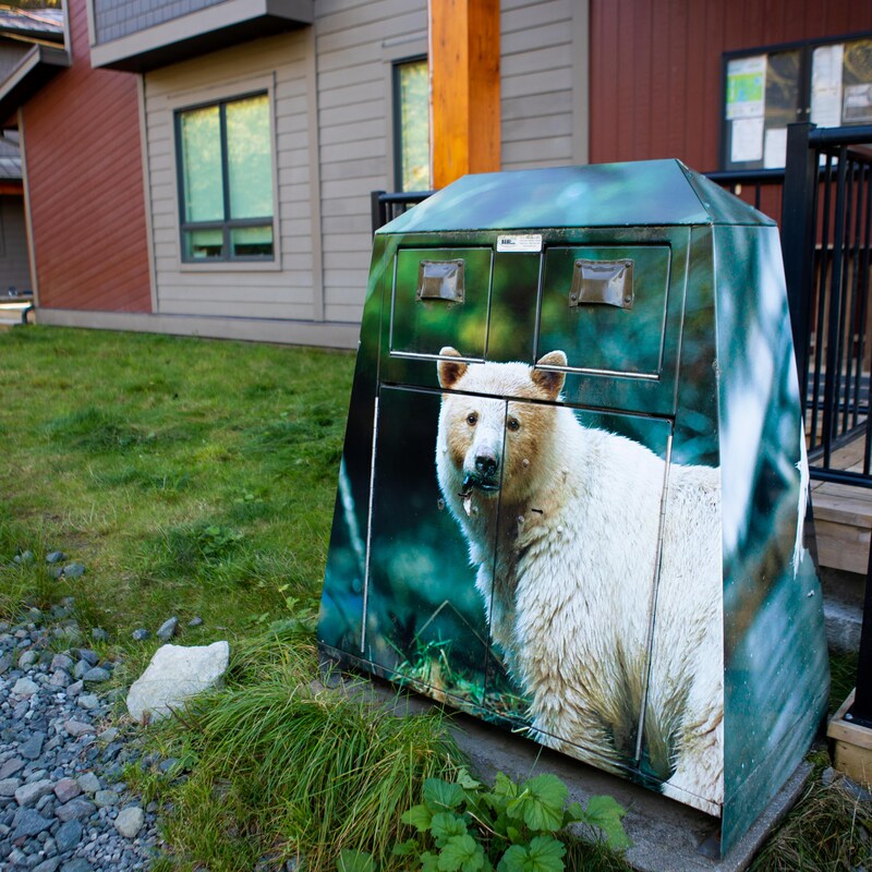 Une photo d'ours esprit est imprimé sur des poubelles de recyclage, à Klemtu, en Colombie-Britannique, en octobre 2023.
