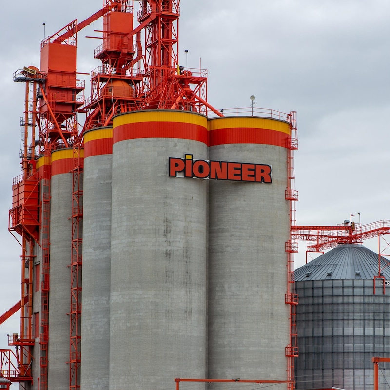 Un silo à grain moderne en béton, au Manitoba, en début juin 2022.