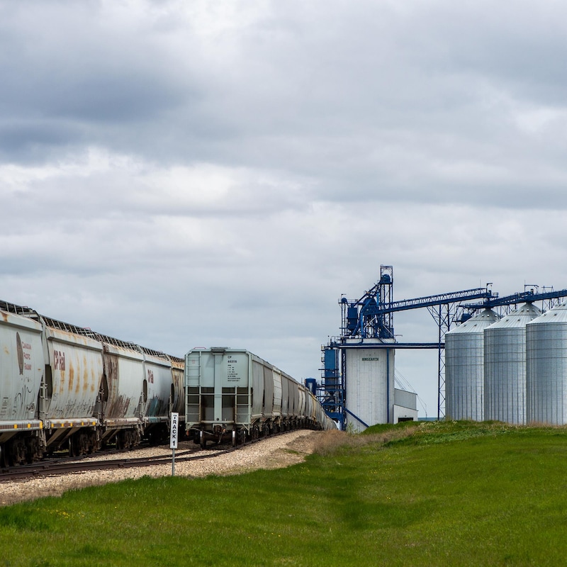 Un silo à grain moderne, avec un train de marchandises qui passe dans les prairies manitobaines, début juin 2022.