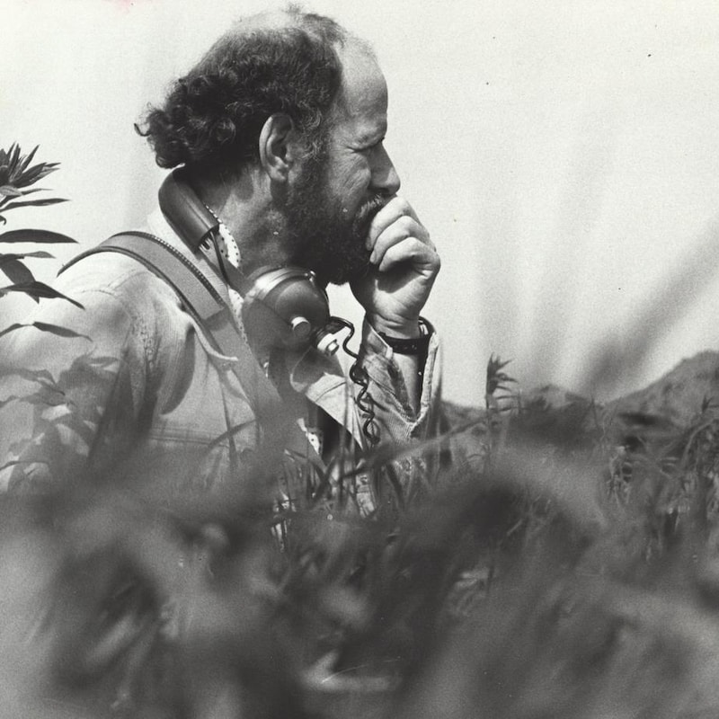Jean Bédard regarde au loin, agenouillé dans un champ d'herbes sauvages. Il a une paire d'écouteurs autour du cou.