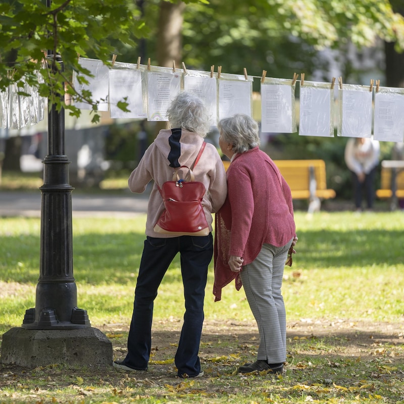 Deux personnes regardent des poèmes accrochés dans un parc.