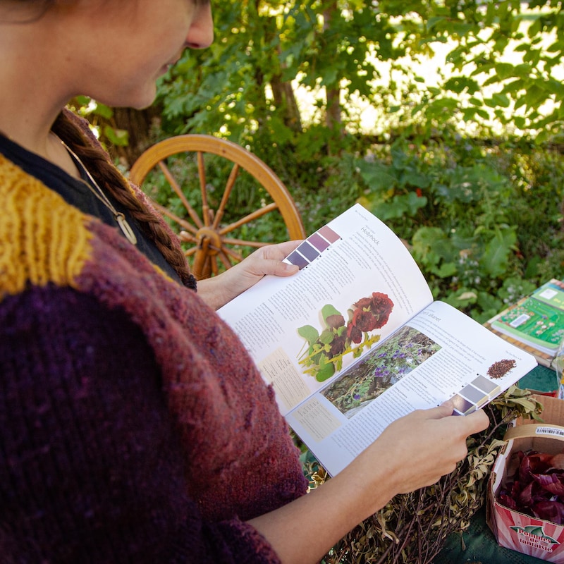 Rachel feuillette un livre sur les plantes qui permettent de créer des teintures.