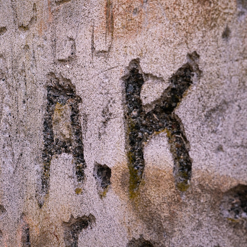 Un mur en ruine sur lequel est gravé A.K, en mai 2022 sur l'île d'Arcy en Colombie-Britannique.