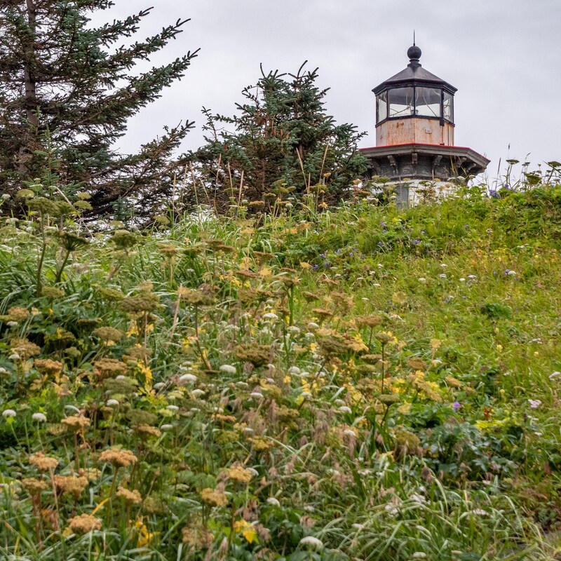 Le haut du phare est caché derrière une bute de verdure, en Alaska, juillet 2022.