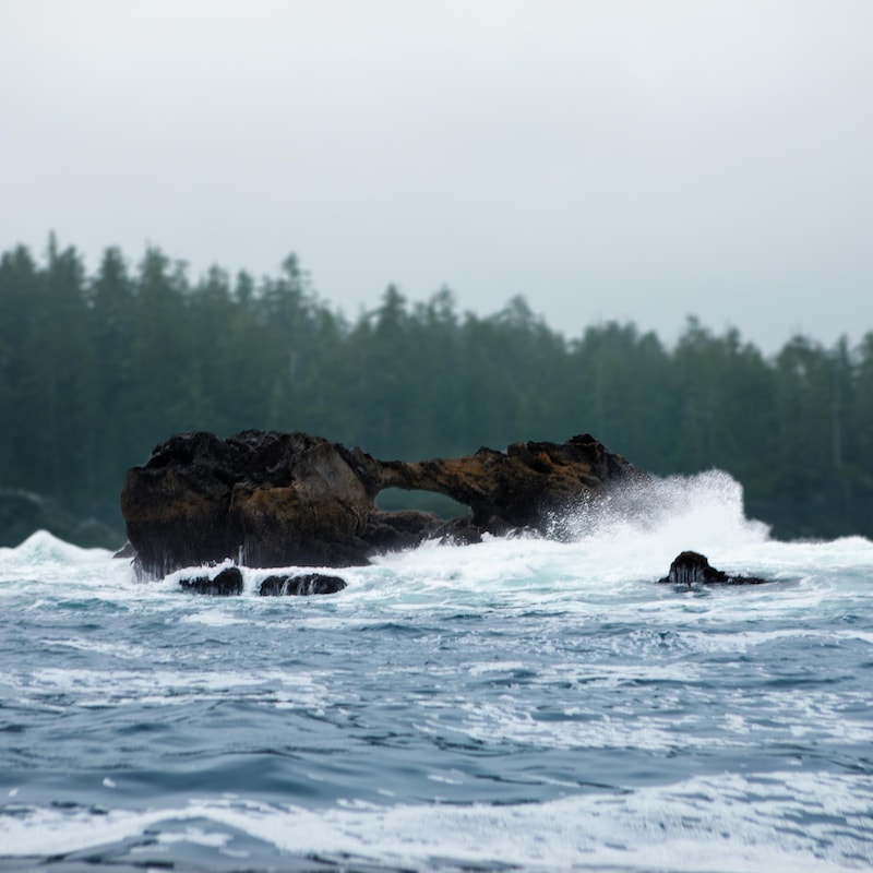 Une vague explose sur un rocher, près de l’île Nootka, en Colombie-Britannique. 