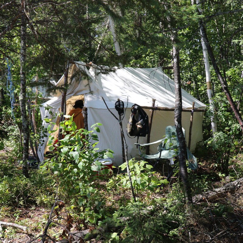 Une tente dans une forêt.