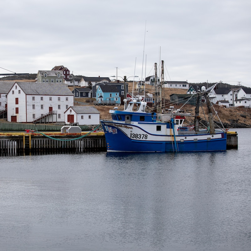 Le village de Bonavista, à Terre-Neuve.